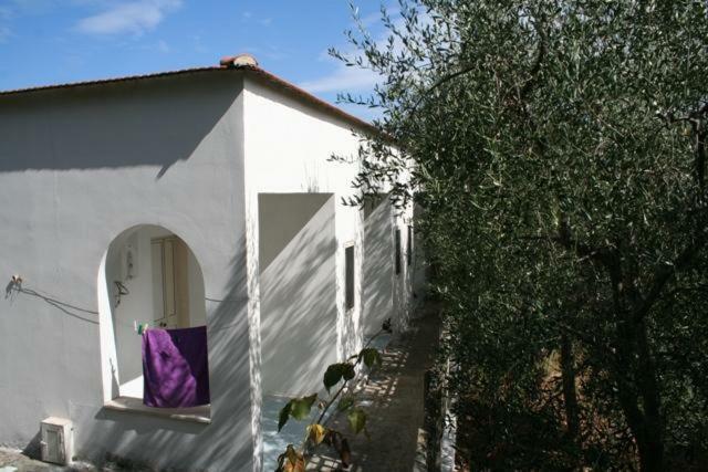 Casa Vacanze Pizzone Peschici Exterior foto
